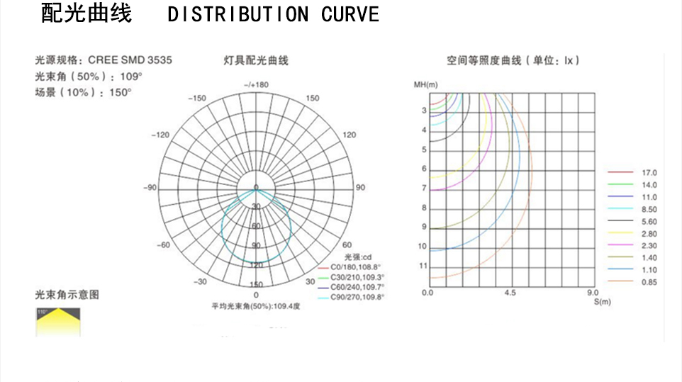 LDYP-013.jpg